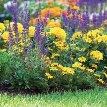 GardenCore Banner