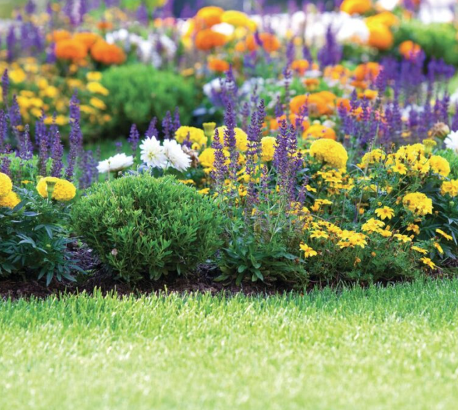 GardenCore